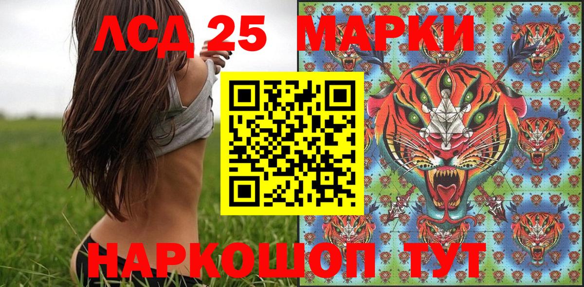 Холмск  как найти наркотики  Вход с VPN  Марки 25I-NBOMe 1,8мг 