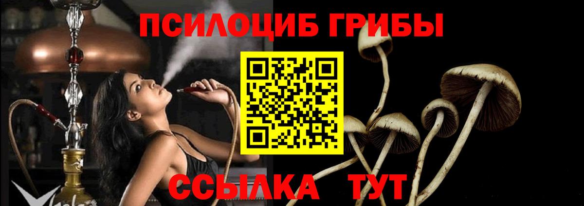 Галлюциногенные грибы мицелий Холмск